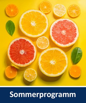 Symbol-Bild Sommerkurse mit Scheiben von Zitrusfrüchten